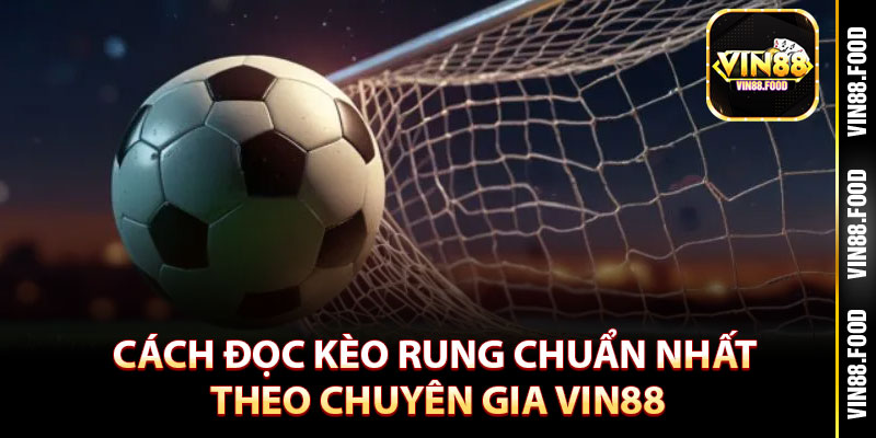 Cách Đọc Kèo Rung Tại Vin88 - Chính Xác Để Tăng Cơ Hội Thắng 3 Cách đọc kèo rung chuẩn nhất theo chuyên gia Vin88