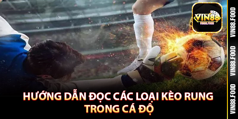 Cách Đọc Kèo Rung Tại Vin88 - Chính Xác Để Tăng Cơ Hội Thắng 4 Hướng dẫn đọc các loại kèo rung trong cá độ
